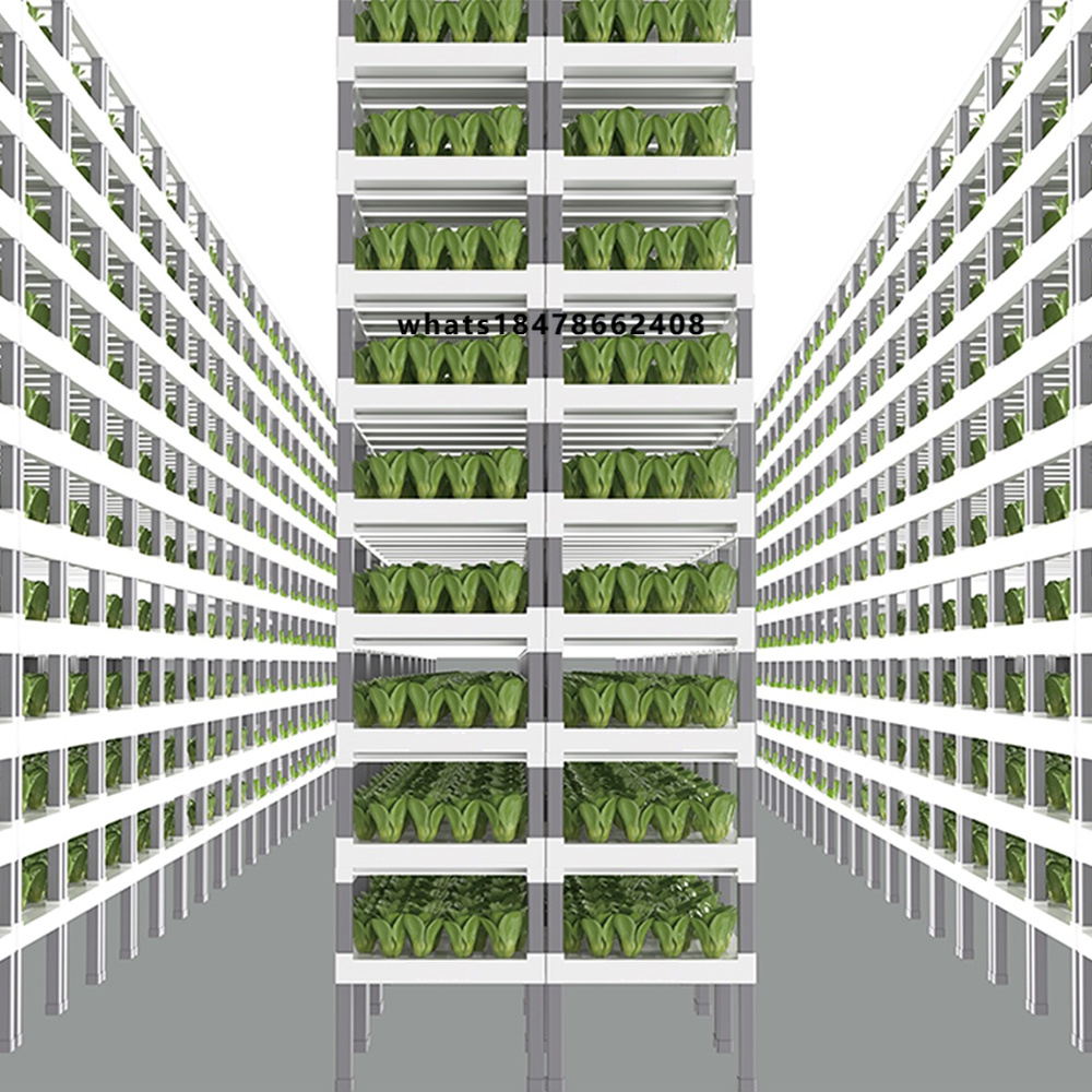 Hydroponic System - App Controlled Smart Hydroponics System Indoor