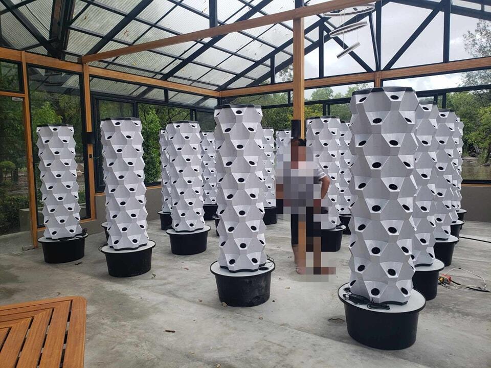 Greenhouse Vertical Farming Hy - Hydroponic System 评论和价格