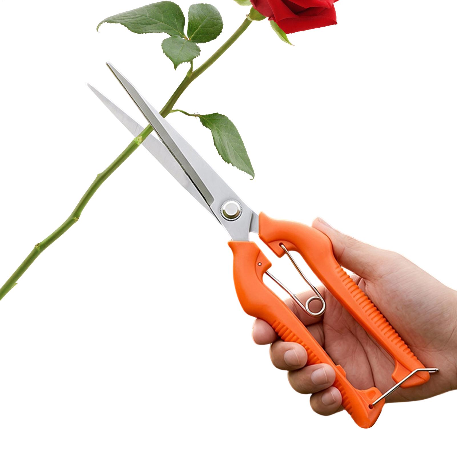 Pruning Shears Grape Scissors  - Gardening Tools Women 评论和价格