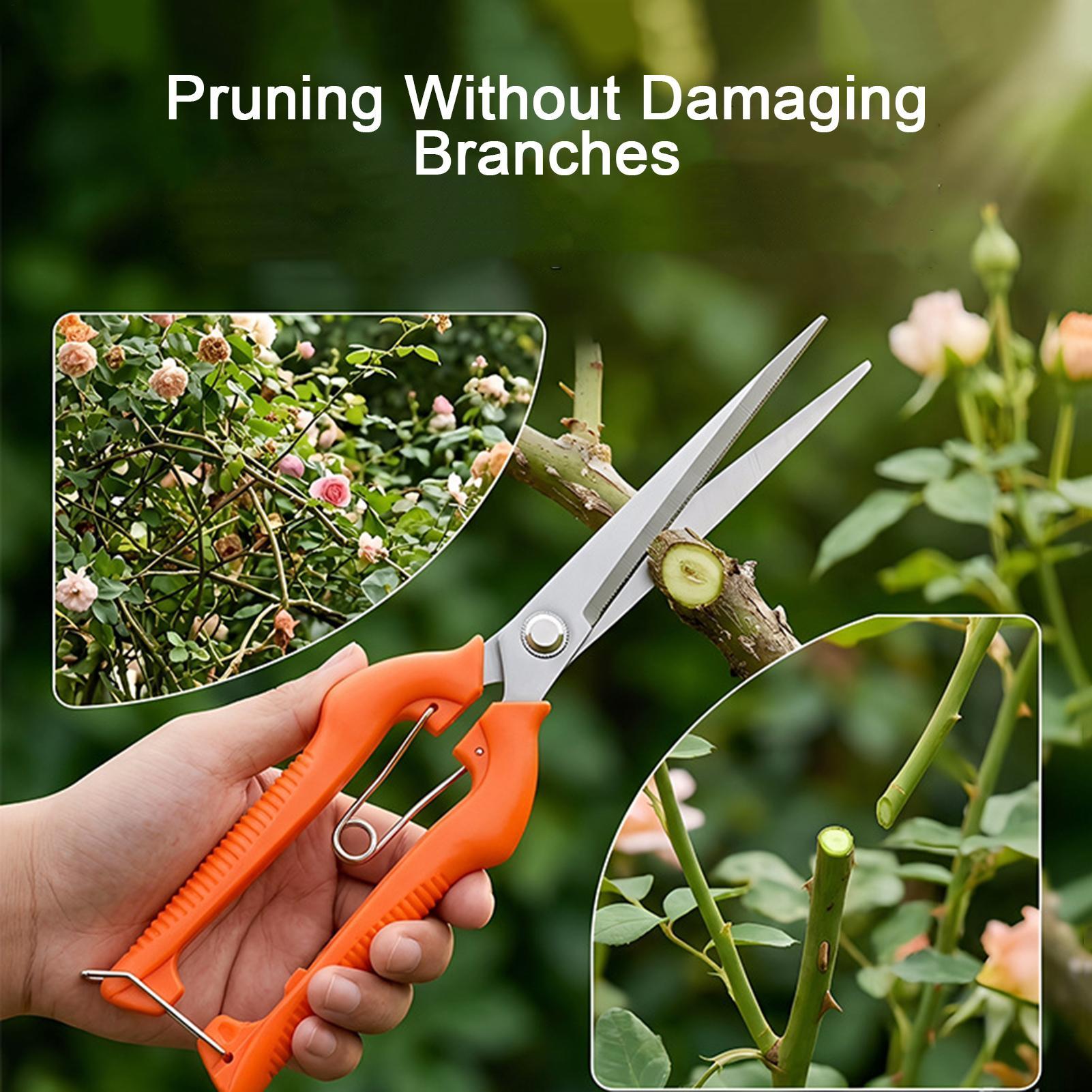 Pruning Shears Grape Scissors  - Gardening Tools Women 评论和价格