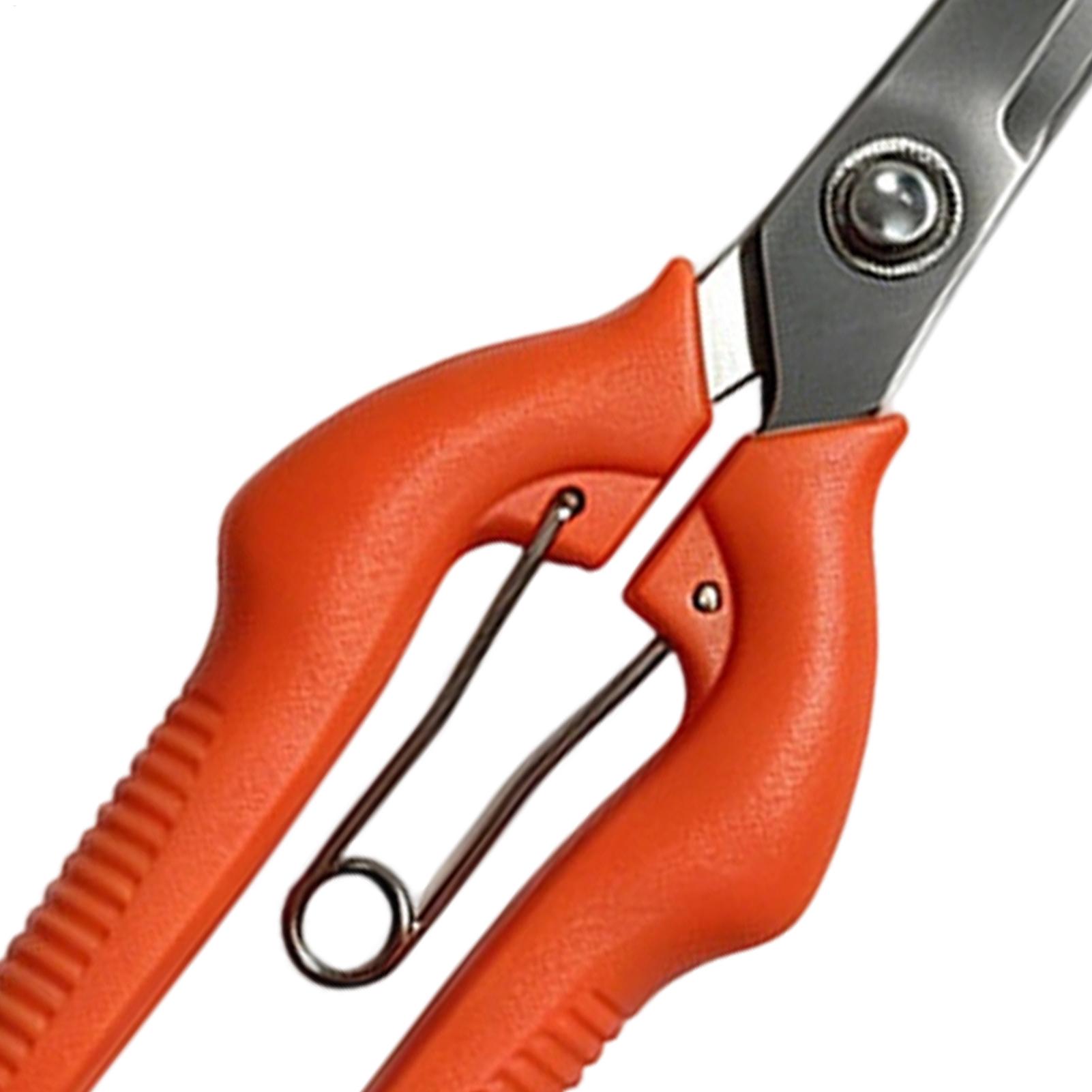 Pruning Shears Grape Scissors  - Gardening Tools Women 评论和价格