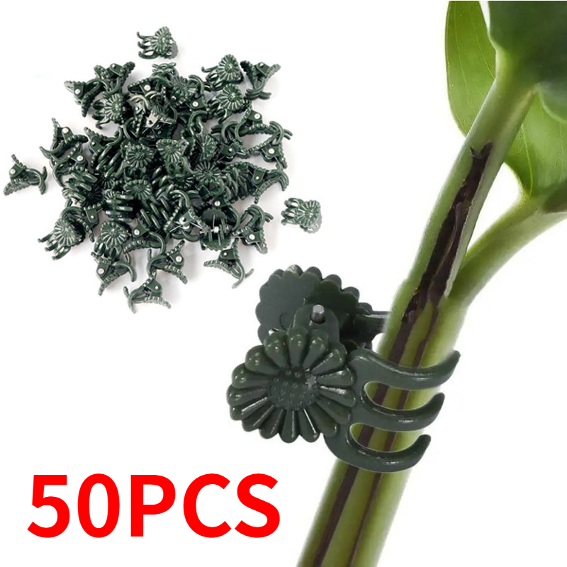 50PCS 5-Claw Dark Green Plant  - Gardening Tools Bundle 评论和价格