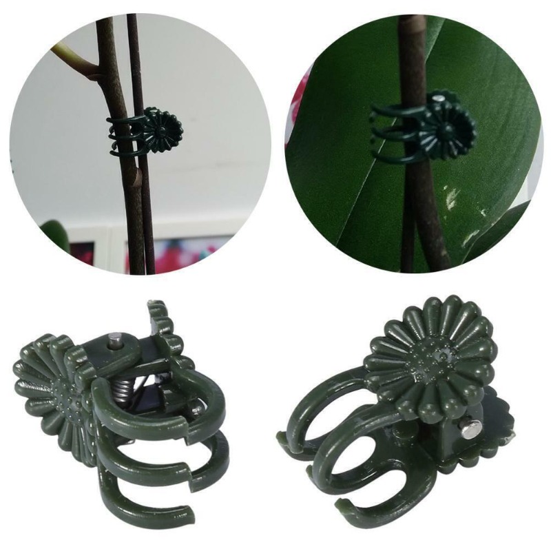 50PCS 5-Claw Dark Green Plant  - Gardening Tools Bundle 评论和价格