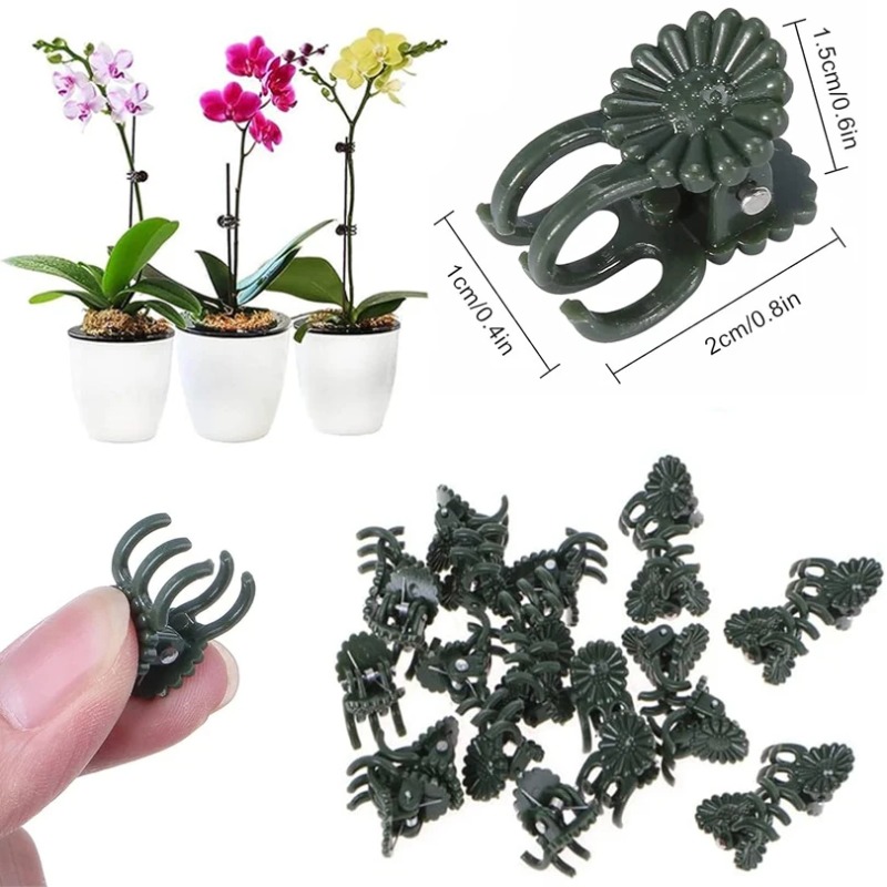 50PCS 5-Claw Dark Green Plant  - Gardening Tools Bundle 评论和价格