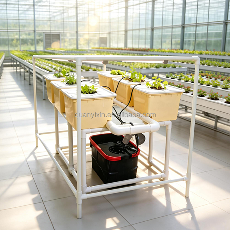 Dutch Bucket Hydroponic System - Hydroponic System 评论和价格
