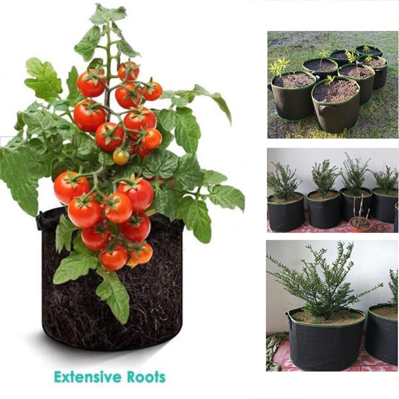 20Gal grow pots vegetable flow - Gardening Tools Big 评论和价格