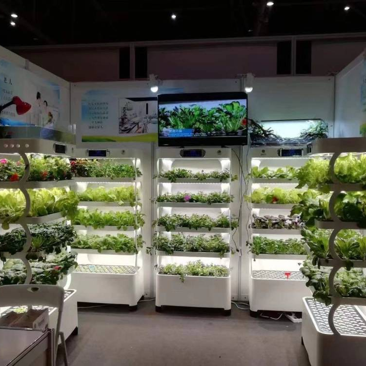 Intelligent Hydroponic Growing - Hydroponic System 评论和价格