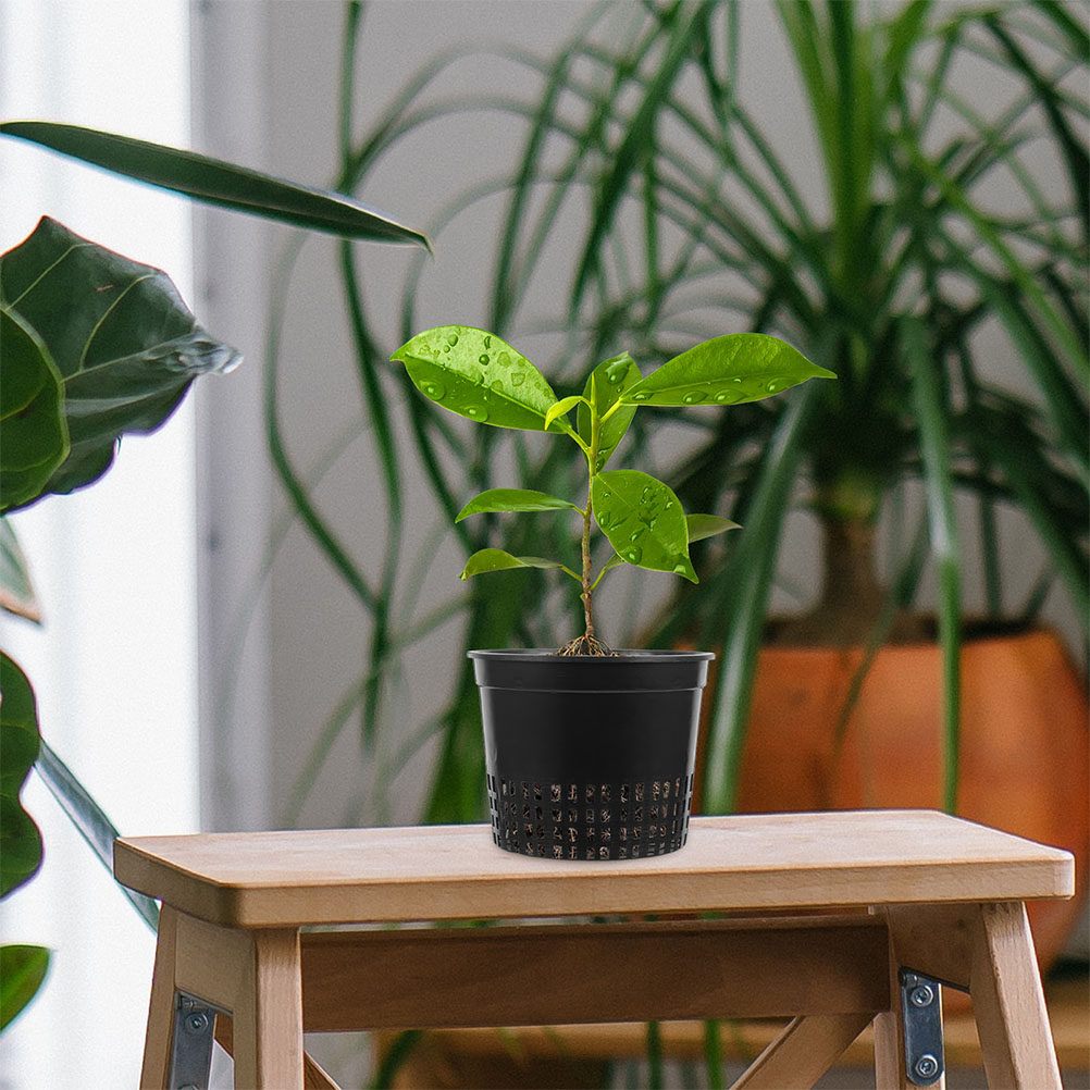6Pcs Hydroponic Planting Cups  - Hydroponic System 评论和价格