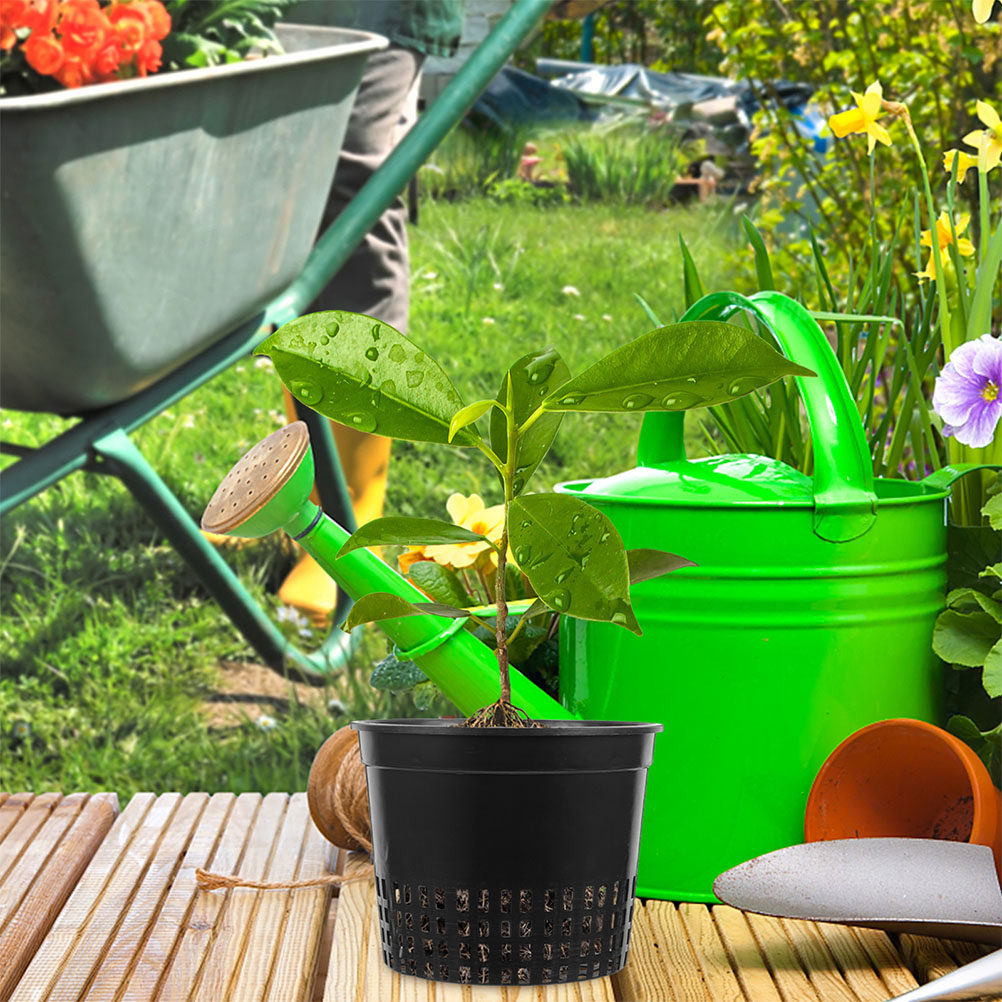 6Pcs Hydroponic Planting Cups  - Hydroponic System 评论和价格