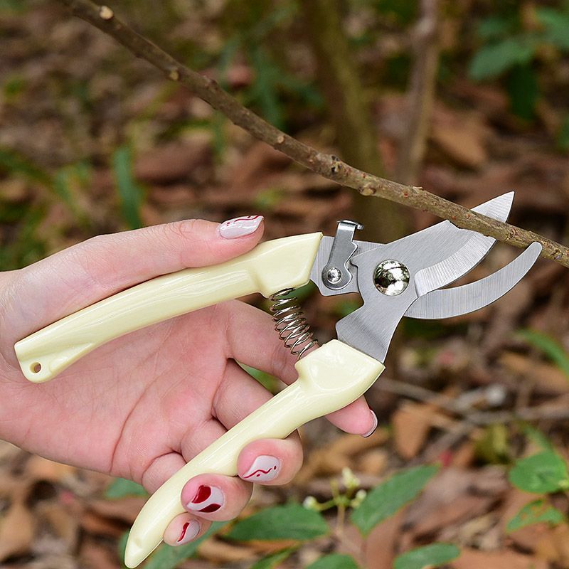 Labor‑Saving Garden Pruning Sh - Gardening Tool Diy 评论和价格