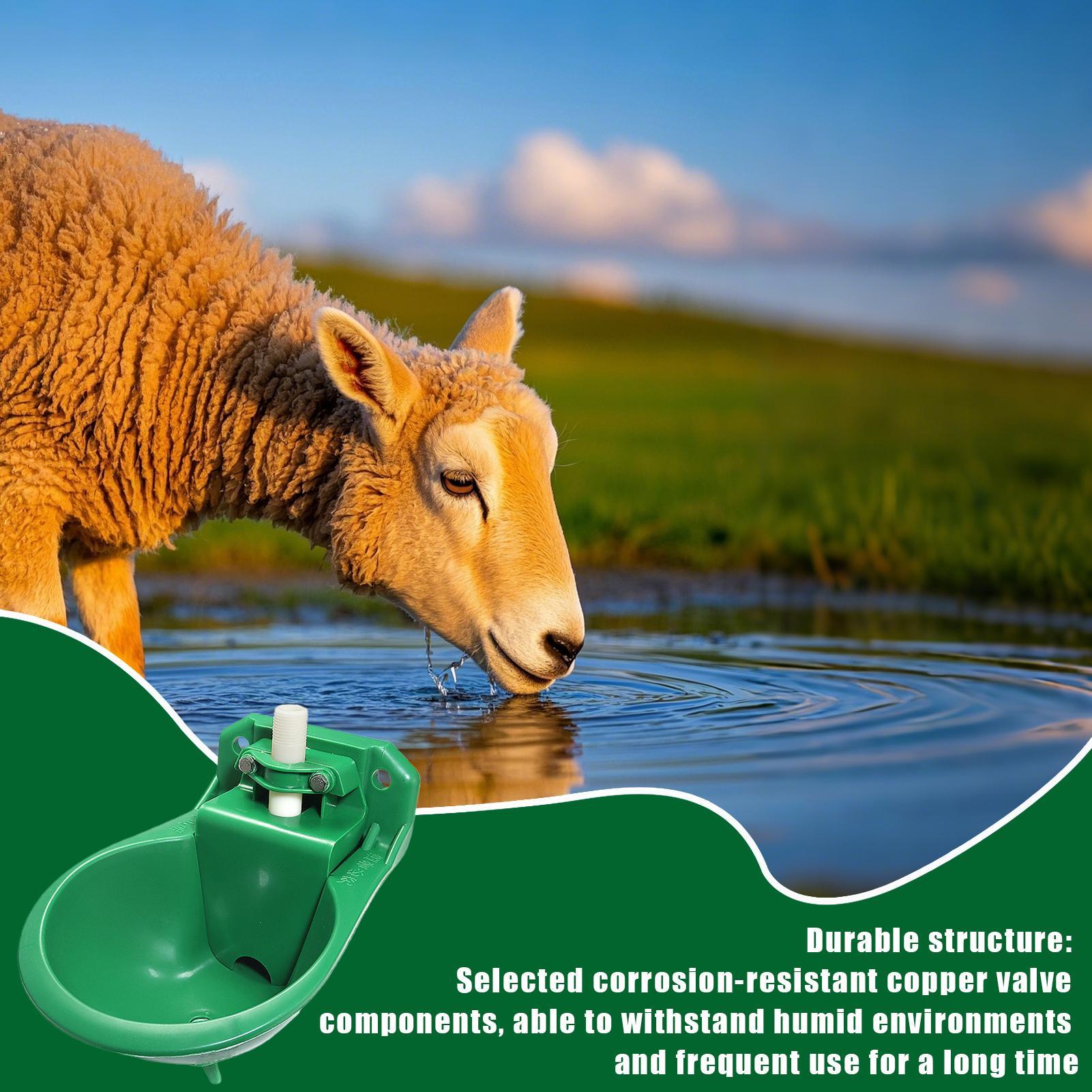 Horse Water Drinker Bowl With  - Gardening Tools Women 评论和价格