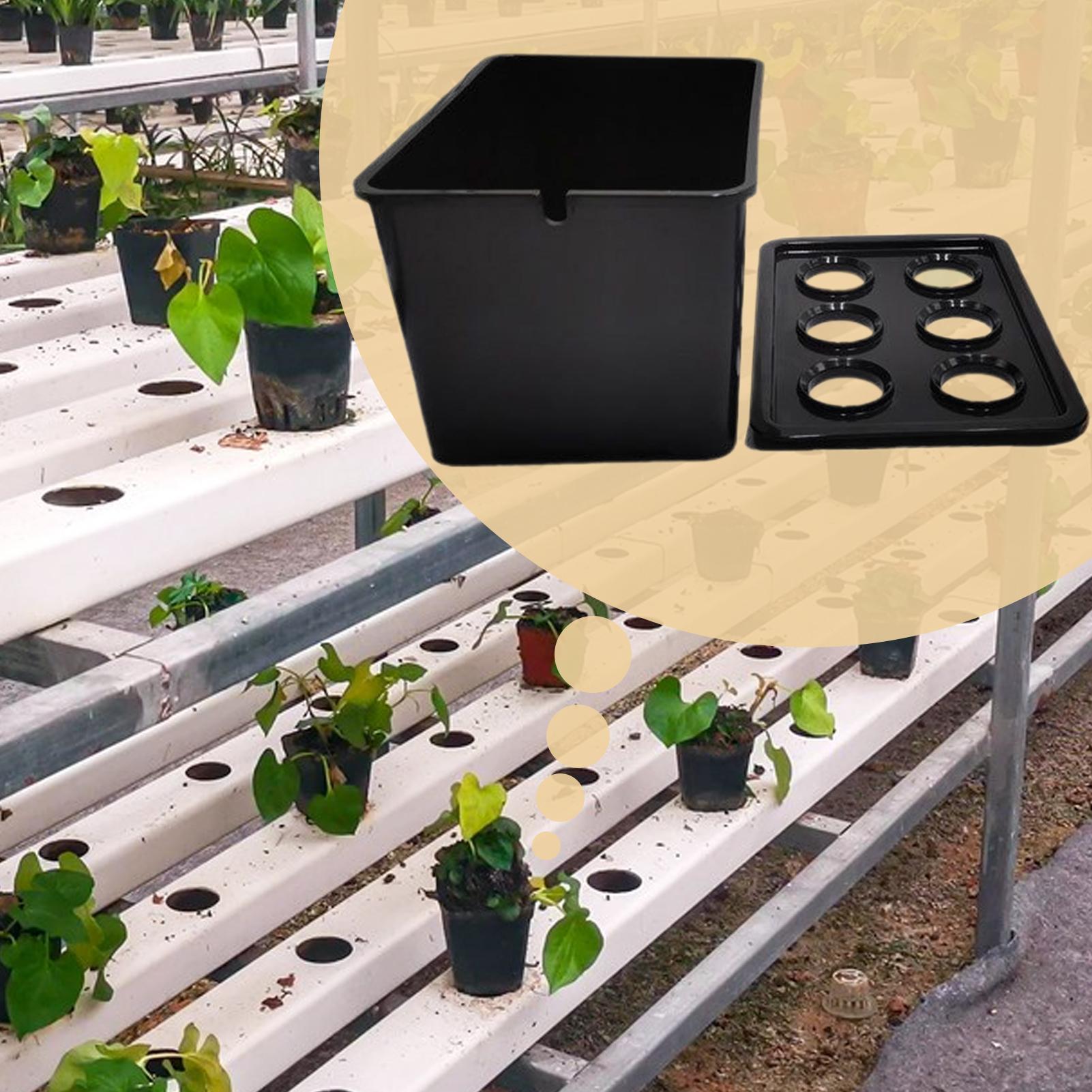 Hydroponic Planting Kit Beginn - Hydroponic System 评论和价格