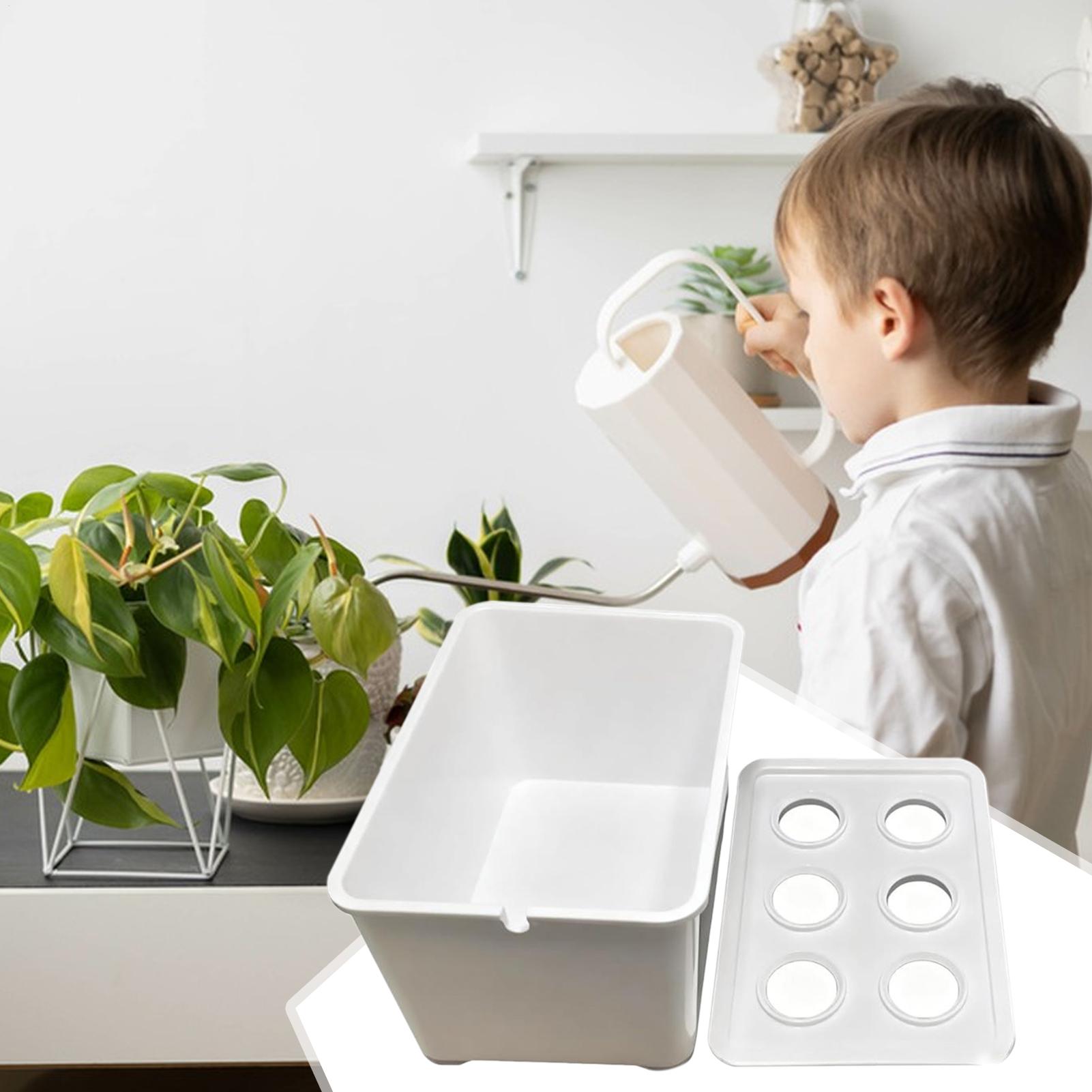 Hydroponic Planting Kit Beginn - Hydroponic System 评论和价格