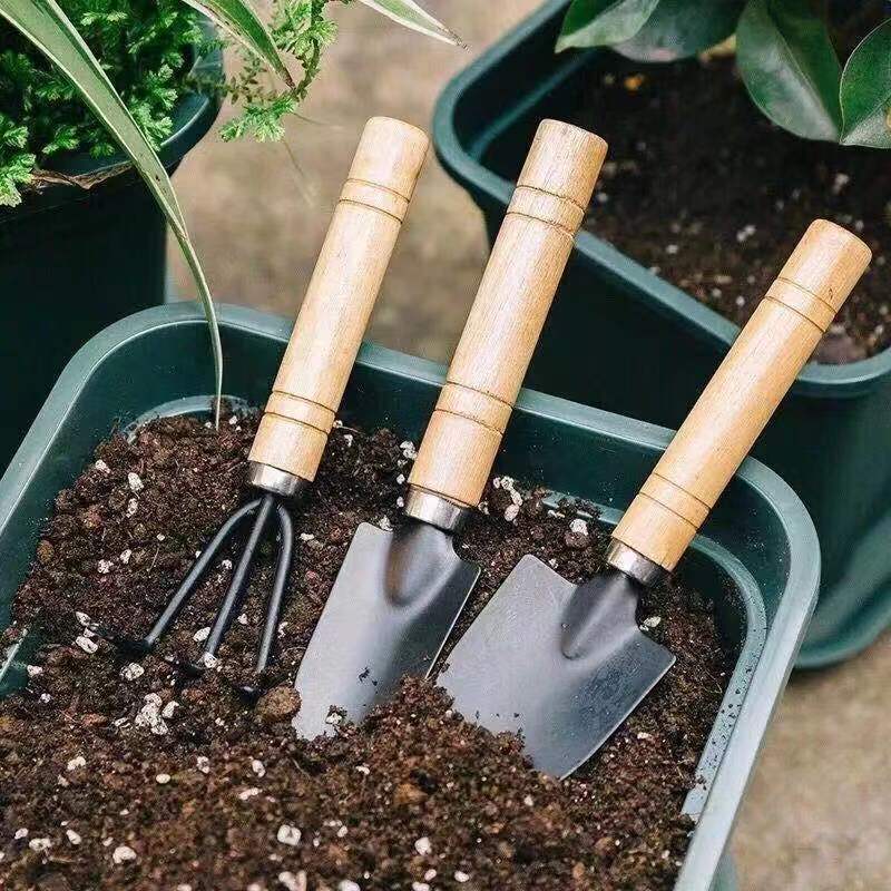 3PC/1Set Mini Gardening Tools  - Gardening Tools Bundle 评论和价格