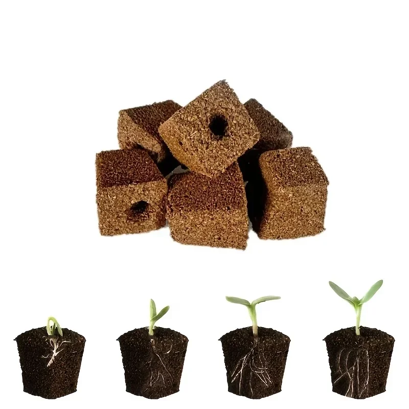 Seedling Starter Sponge Kit fo - Hydroponic System 评论和价格