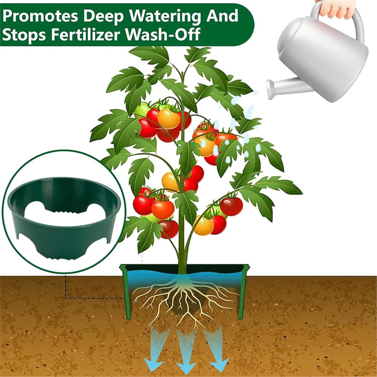 Big Discount 4 Plant Guard Rin - Gardening Tools Big 评论和价格