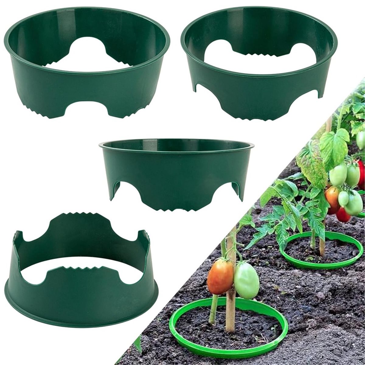 Big Discount 4 Plant Guard Rin - Gardening Tools Big 评论和价格