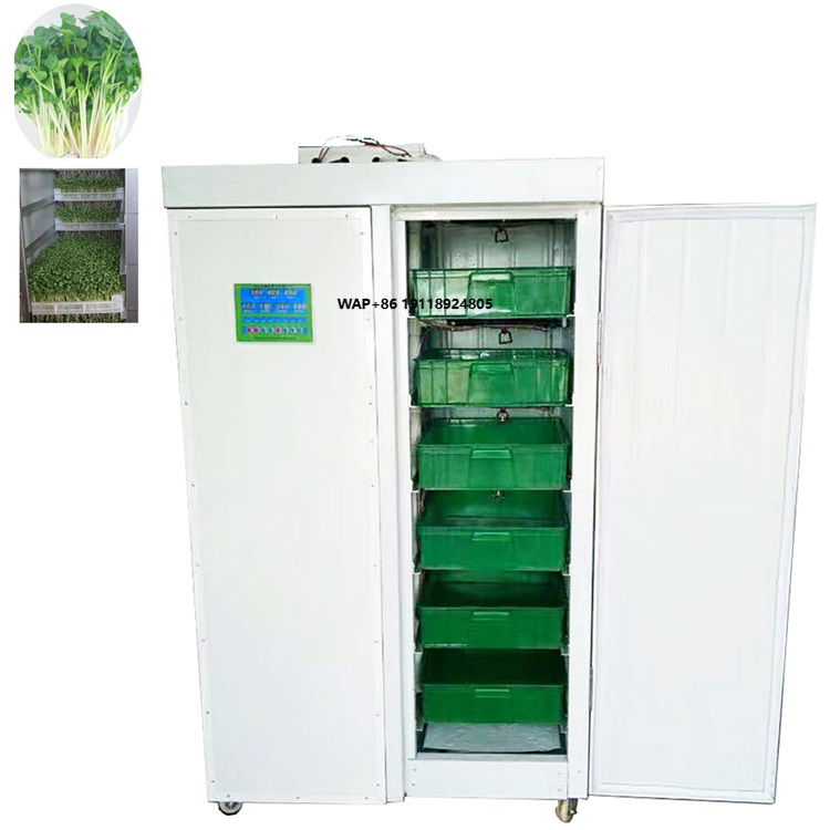 Indoor Hydroponic Bean Garlic  - Hydroponic System 评论和价格