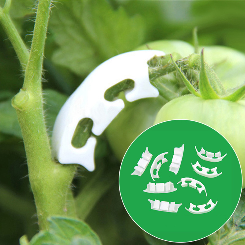 50/100pcs Botany-stem Vine Str - Gardening Tools Bundle 评论和价格