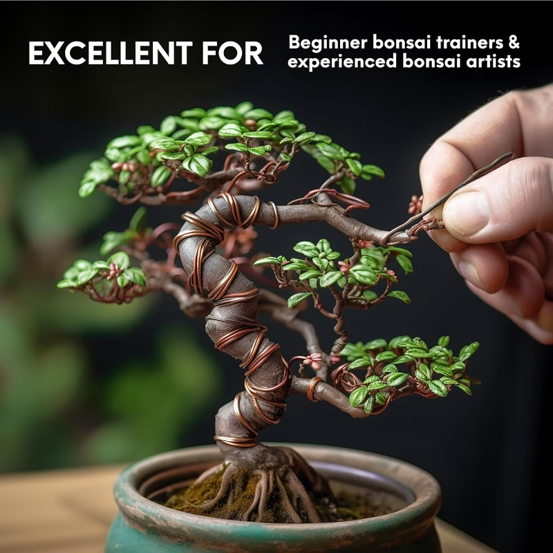 5M Bonsai Training Wire Set fo - Gardening Tools Bundle 评论和价格