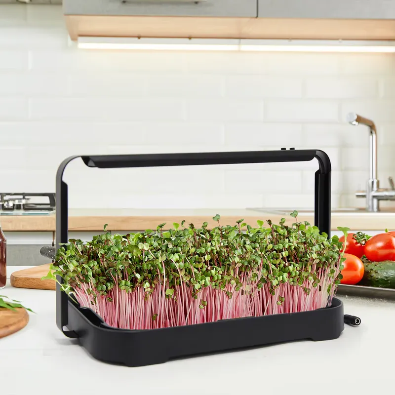 Hydroponic Tray Indoor Microgr - Hydroponic System 评论和价格
