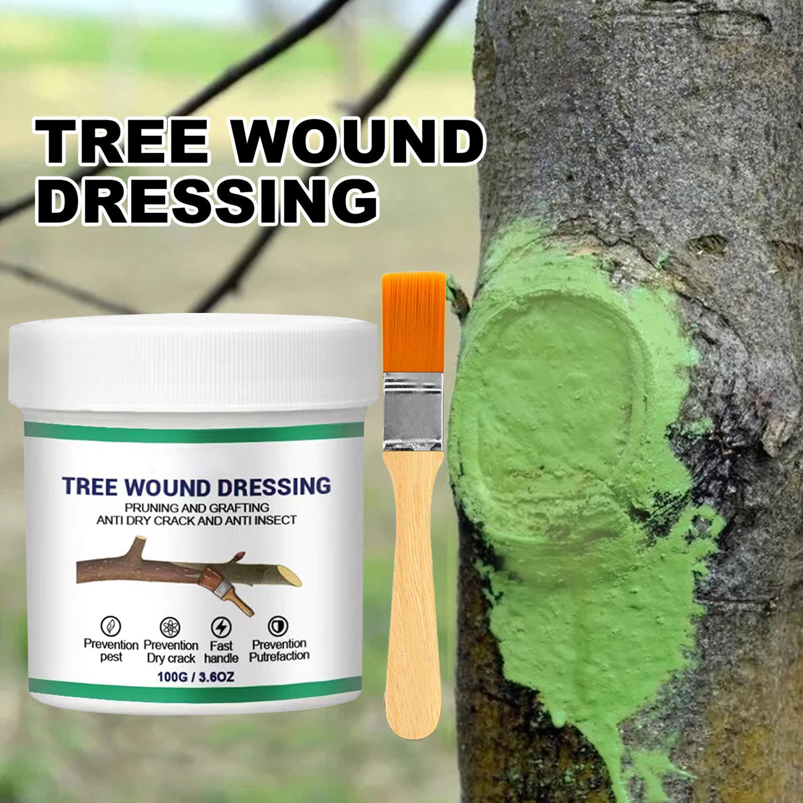 Tree Grafting Paste Tree Wound - Gardening Tools Women 评论和价格