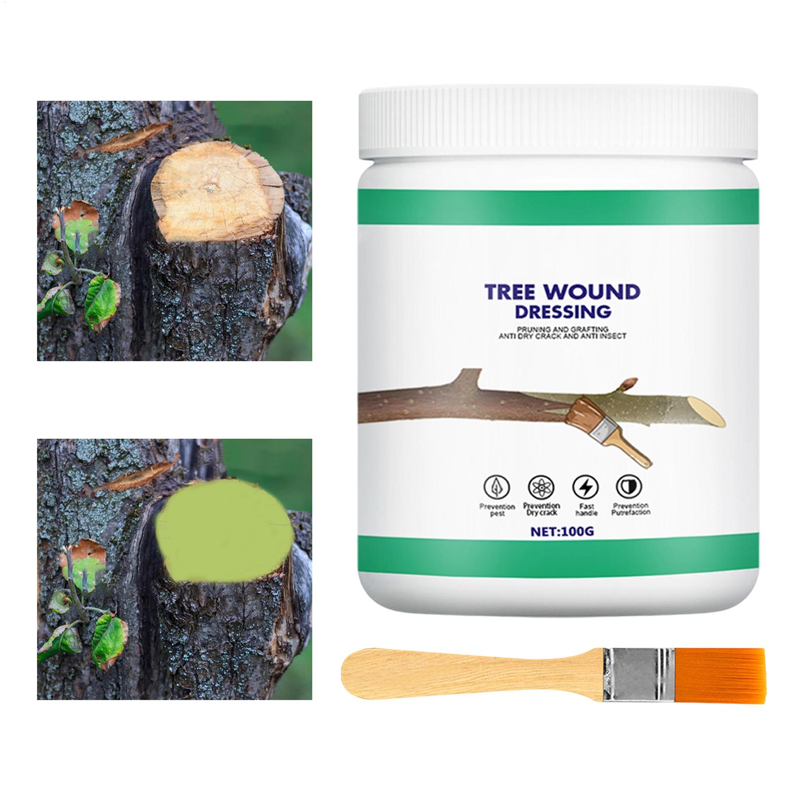 Tree Grafting Paste Tree Wound - Gardening Tools Women 评论和价格