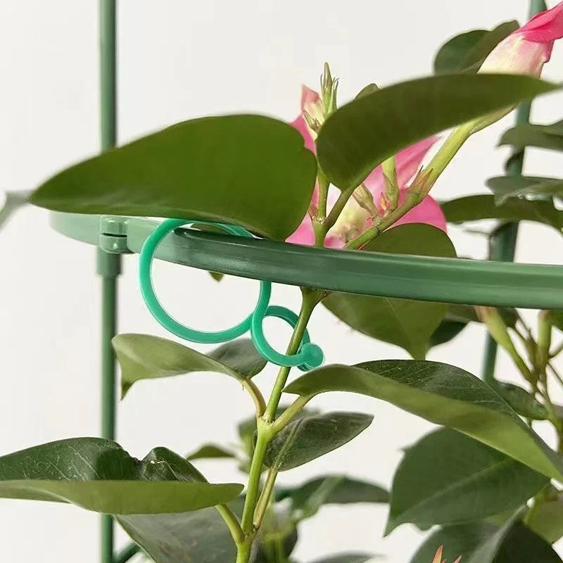 Plastic Garden Vine Strapping  - Gardening Tools Bundle 评论和价格