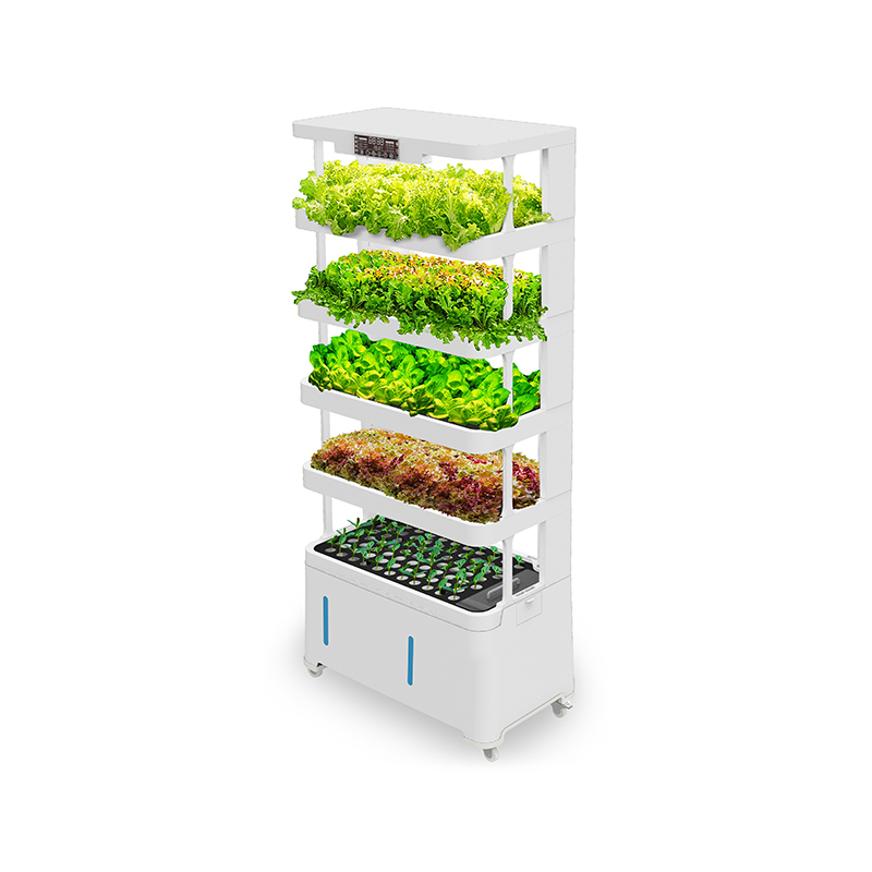 High-Tech Intelligent Hydropon - Hydroponic System 评论和价格
